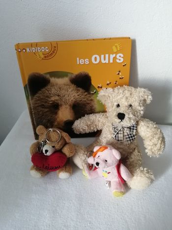 livre et peluche ours