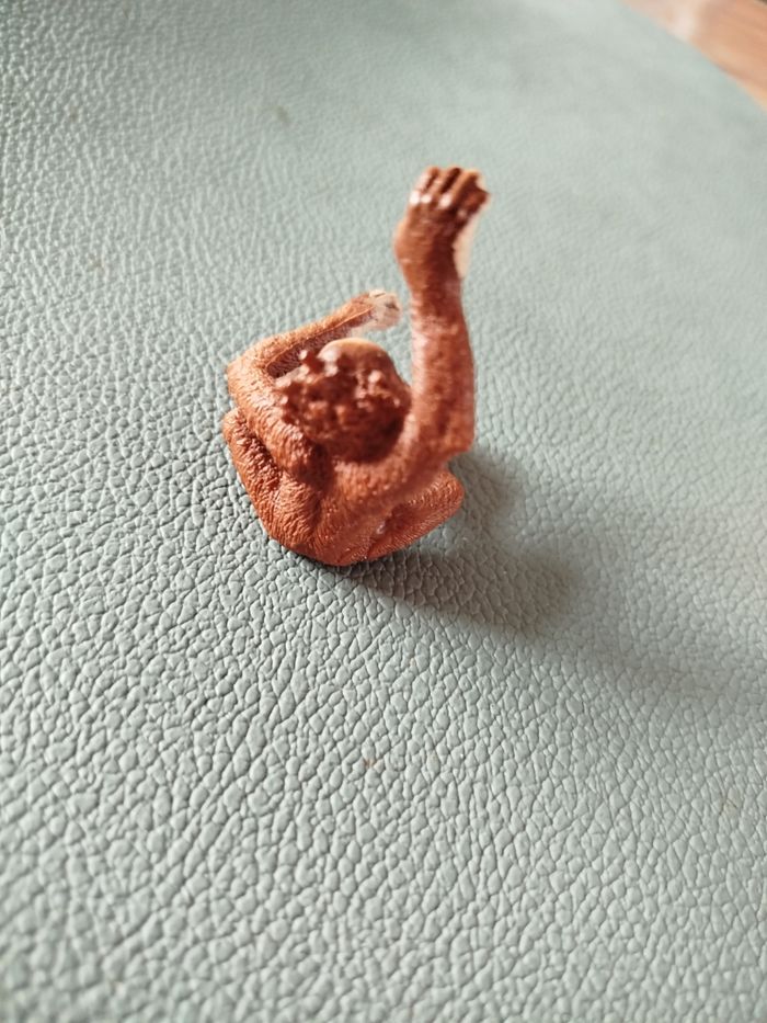 Bébé Orang-outan - photo numéro 3
