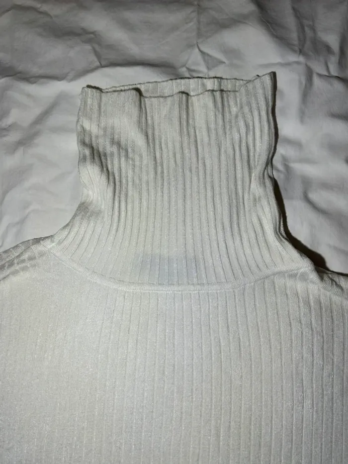 Pull à col roulé premier rôle - photo numéro 5