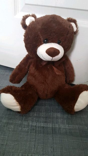 Ourson peluche