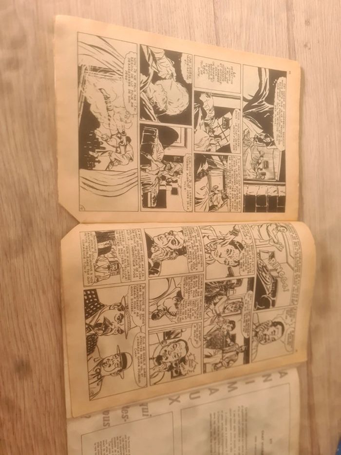 Rin tin tin les indiens - photo numéro 4