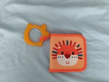 Livre de bain  Lilliputiens