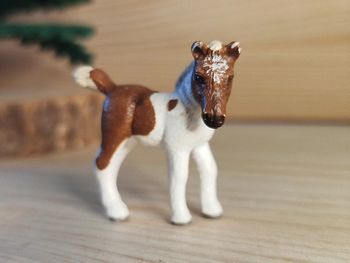 Schleich Mini poulain Figurine animal équidé Calendrier de l'avent
