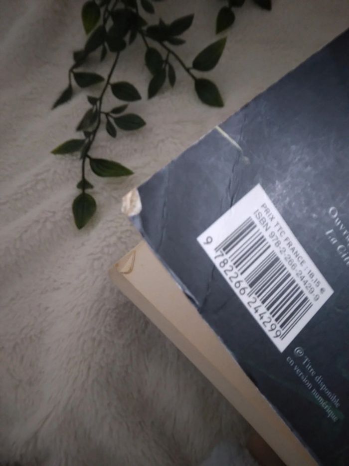 🌸Livre romance The mortal instrument 🌸 - photo numéro 7