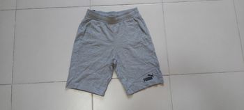 Short Puma