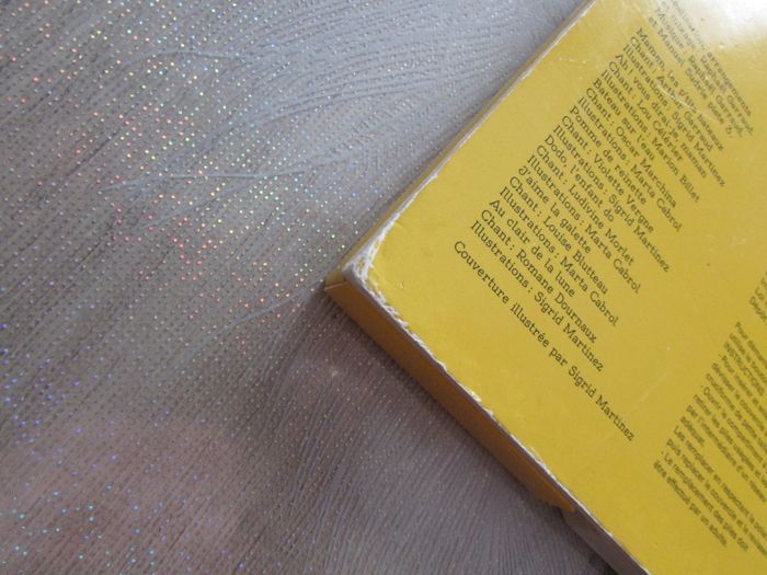 Livre sonore Ecoute et chante les Comptines des tout-petits - photo numéro 8
