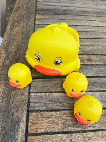Aspergeurs canards
