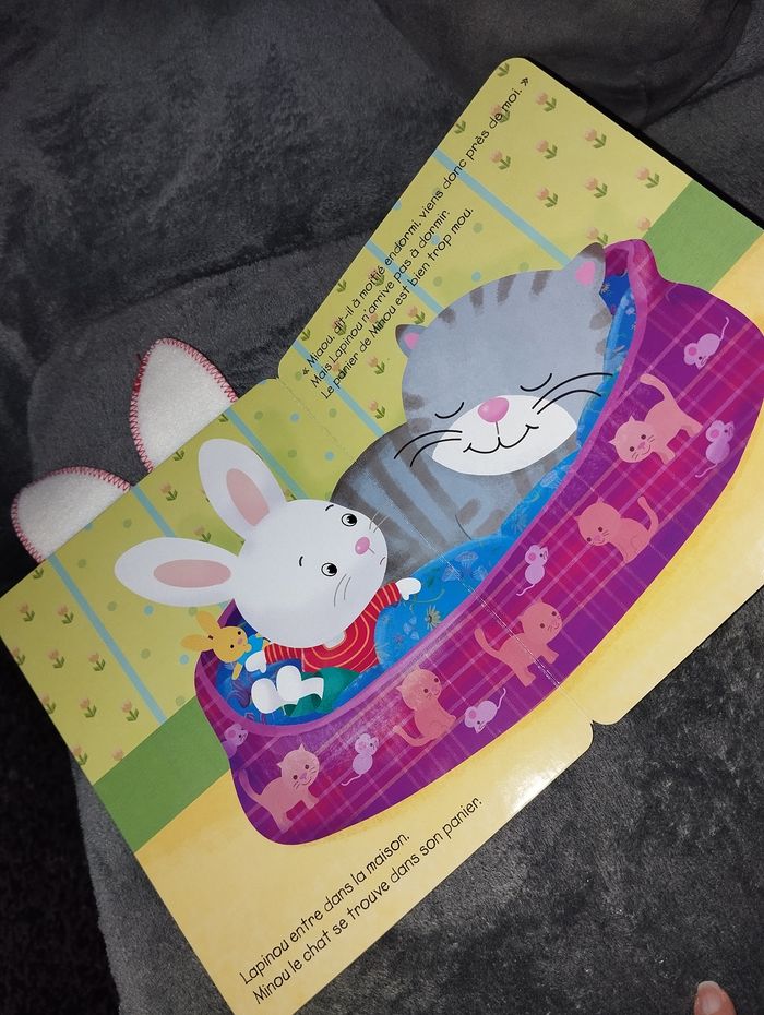 Une maison pour lapinou - photo numéro 3