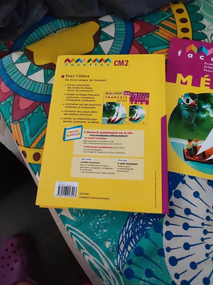 Facettes Français Cm2 + Mémo - photo numéro 2