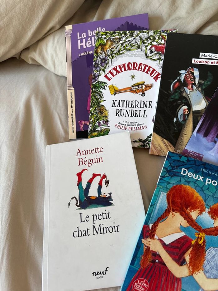 Livres littérature 6eme 5 eme - photo numéro 2