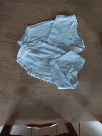 Lot 2 bodies manches longues garçon T.9mois (kimbaloo)