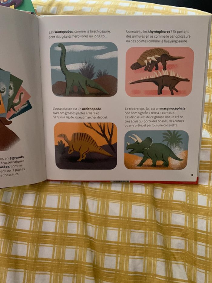Livre docu "Mes p'tites questions : les dinosaures" / Milan - photo numéro 4