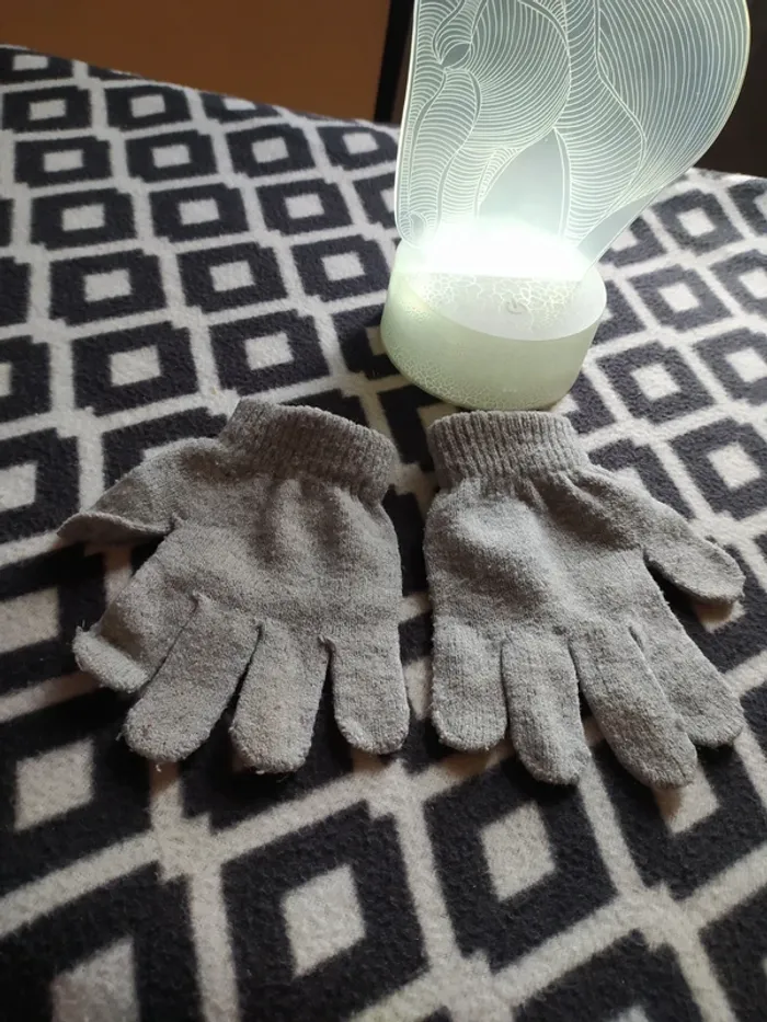 Gants - photo numéro 2