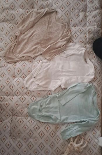 Lot 3 bodies
