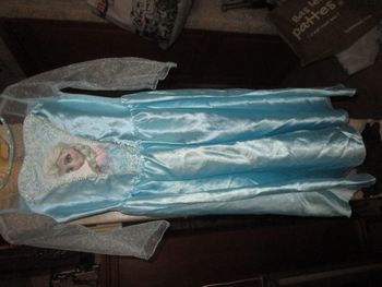 robe reine des neiges 7/8 ans