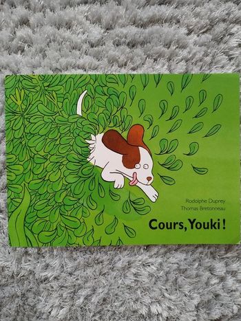 Livre : Cours, Youki !