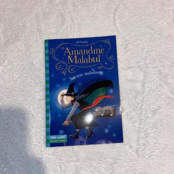 Livre Amandine Malabulle, la sorcière maladroite
