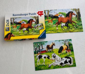 Les 2 lots puzzles / jeux