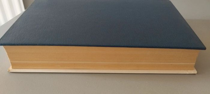 Lettres Notes et Carnets .Charles de Gaulle - photo numéro 12