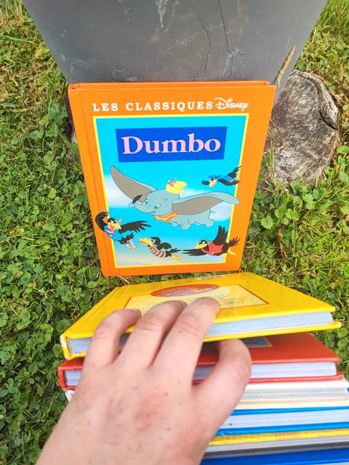 Lot livres Disney les classiques - photo numéro 8