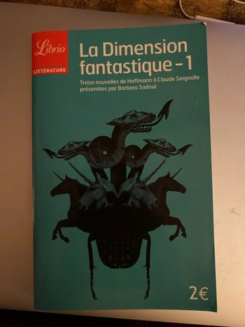 la dimension fantastique