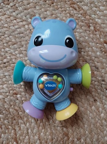Hippopotame