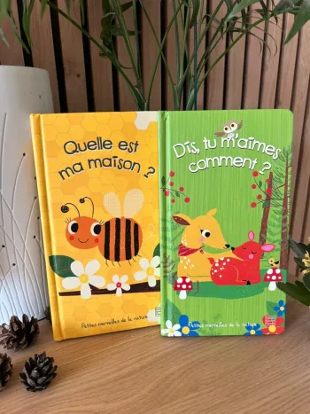 Lot de 2 livres à flops