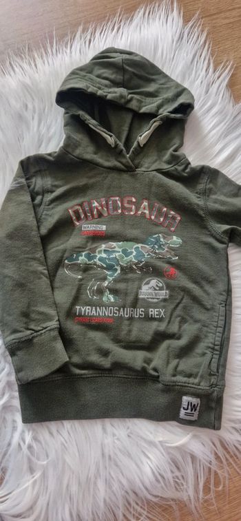 Sweat fin jurassic world 3/4 ans
