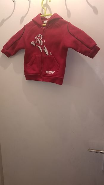 Veste