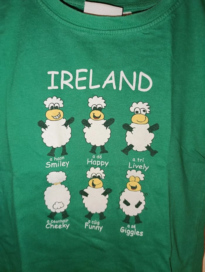 Tee shirt rigolo 3/4 ans Irlande - photo numéro 2
