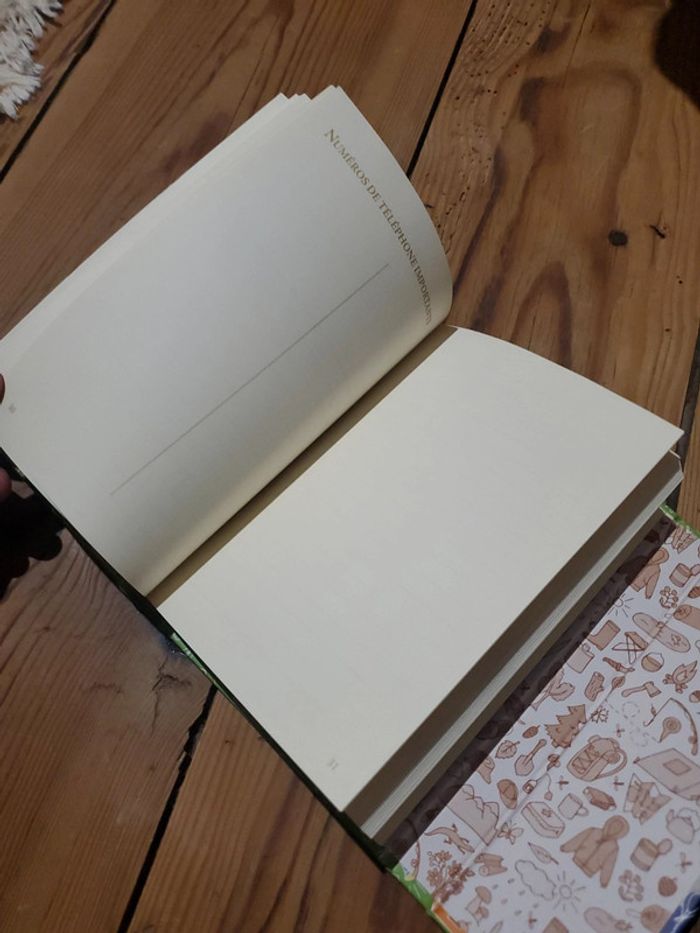 Carnet de voyage - photo numéro 6