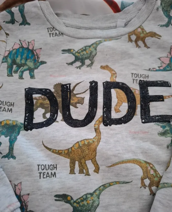 Pull C&A dinosaure 🥨 - photo numéro 2