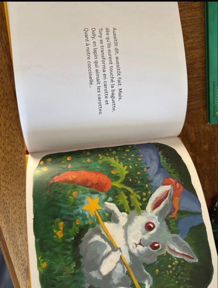 Lot de 6 livres Les petites bêtes - photo numéro 4