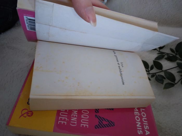 🌸Lot de 3 livres Lola, petite, grosse et exhibitionniste 🌸 - photo numéro 7