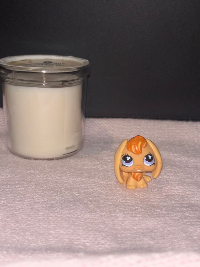 lapin #480 - photo numéro 2