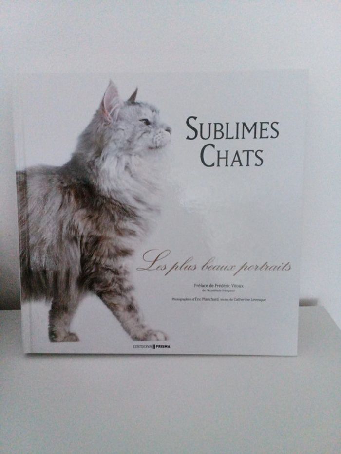 Sublimes chats