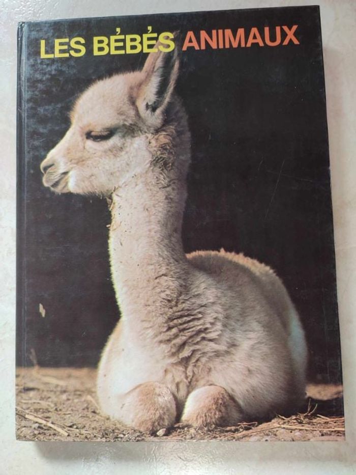 Livre les bebes animaux
