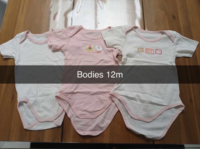 Lot bodies 12m