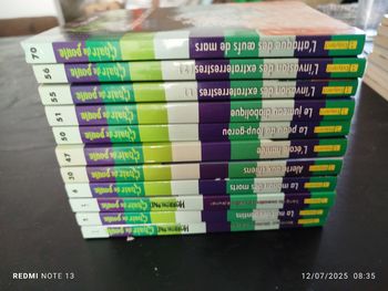 Lot 11 livres chair de poule