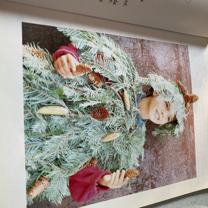 Livre costumes nature mousse coquilles feuilles - photo numéro 3