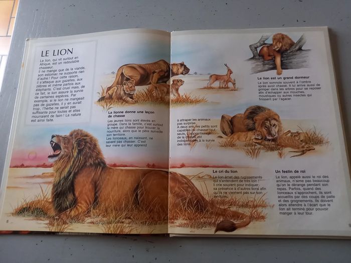 Les fauves - photo numéro 5