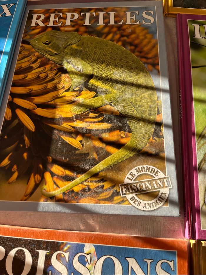Livre série complète animaux neuf - photo numéro 6