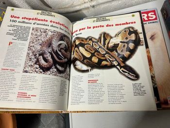 Revues magazines