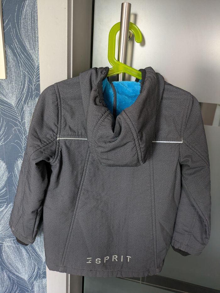 Manteau - photo numéro 2
