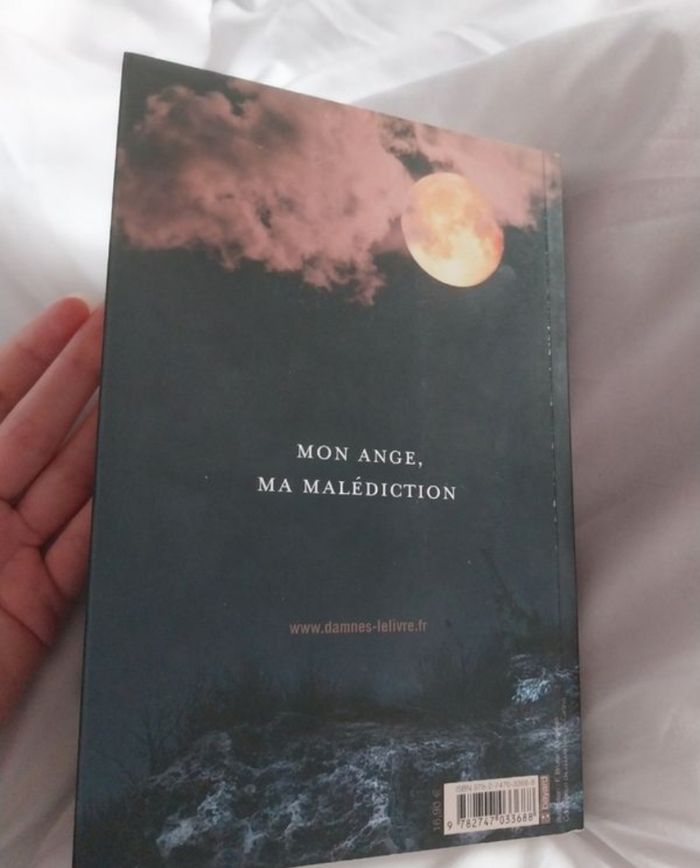 Roman Damnés tome 3 Passion Lauren Kate Bayard - photo numéro 6