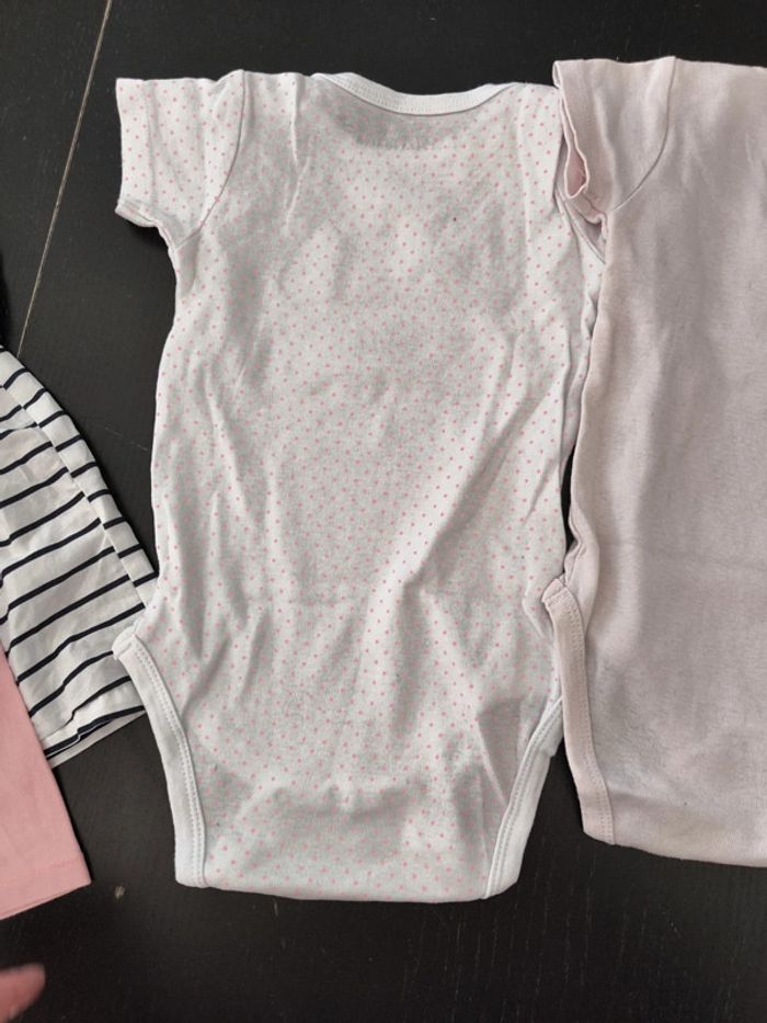 Lot de bodies manches courtes 12 mois - photo numéro 13