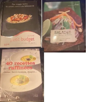 Lot 3 livres de recettes