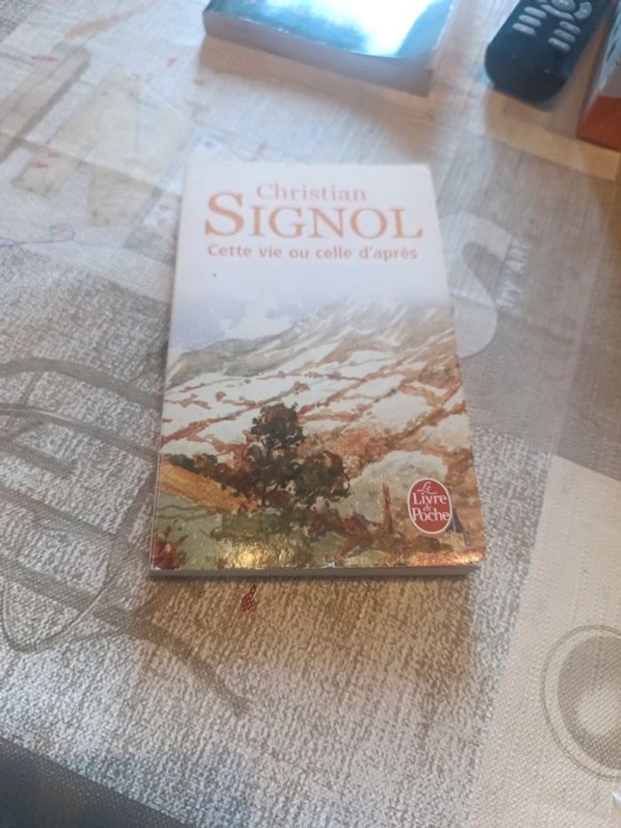 Cette vie ou celle d'après de Christian signol