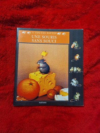 Livre une souris sans soucis