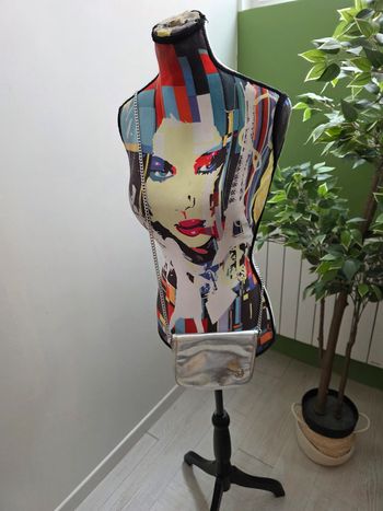 Petit sac à bandoulière argentée vintage